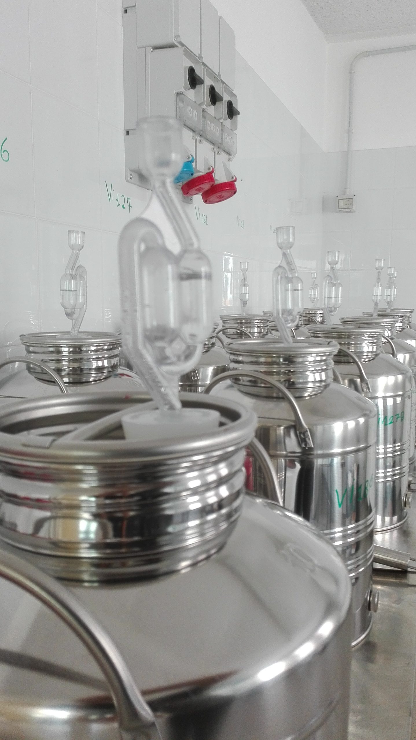 Gestione fermentazione per aziende vinicole a Firenze